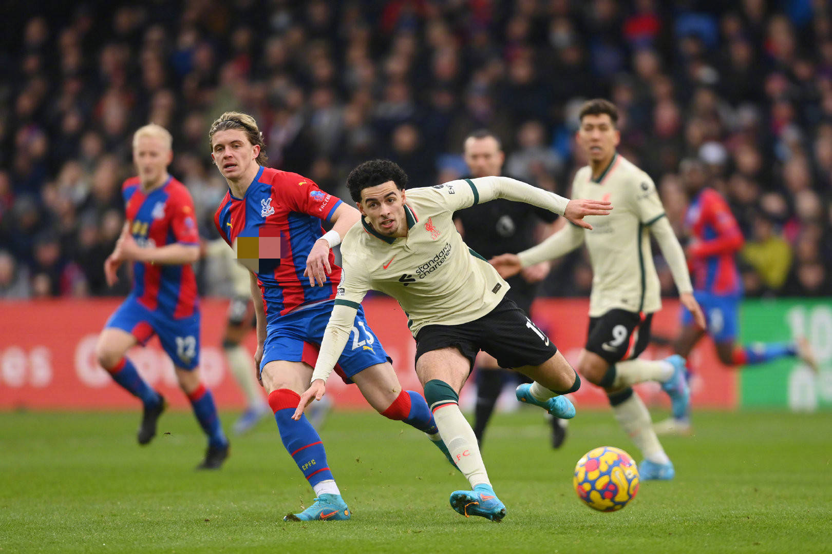 的登场无疑 的登场无疑